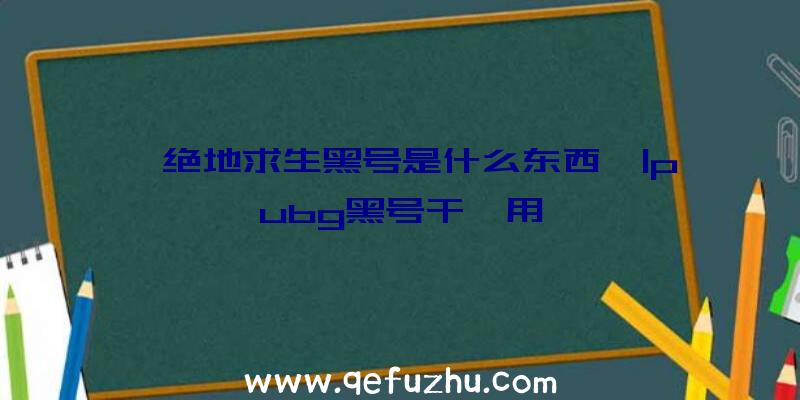 「绝地求生黑号是什么东西」|pubg黑号干嘛用